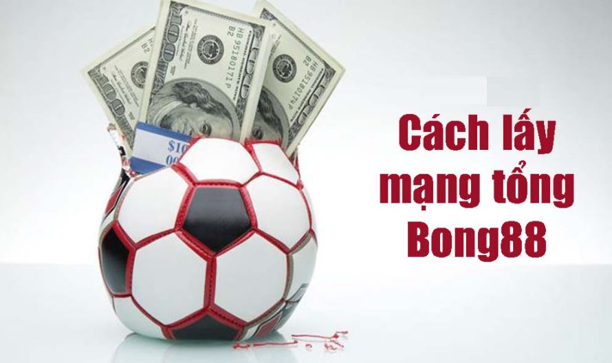 Lấy mạng tổng bong88 tại mangbong88.one với tỷ lệ hoa hồng cực cao