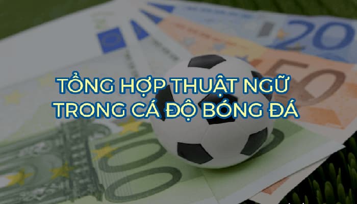 Các thuật ngữ cá độ bóng đá trong kèo châu Âu, Châu Á, Tài Xỉu