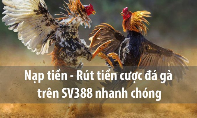 Hướng dẫn nạp - rút tiền SV388