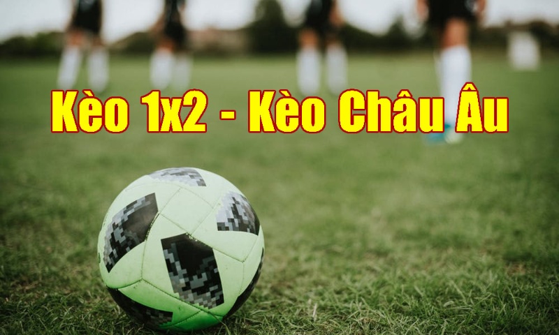 Kèo châu Âu là gì? Hướng dẫn đọc kèo Châu Âu