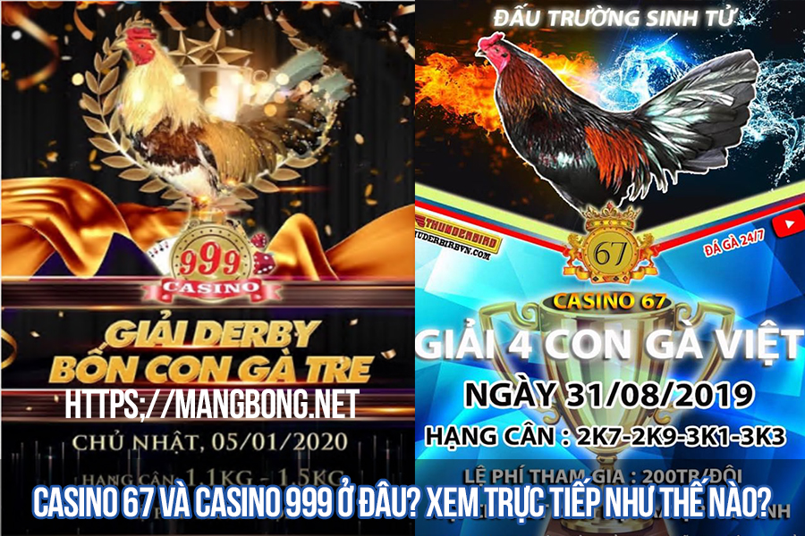 Casino 67 và casino 999 ở đâu? Xem trực tiếp như thế nào?