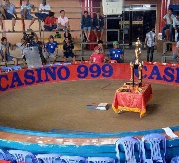 Đá gà trực tiếp casino 999