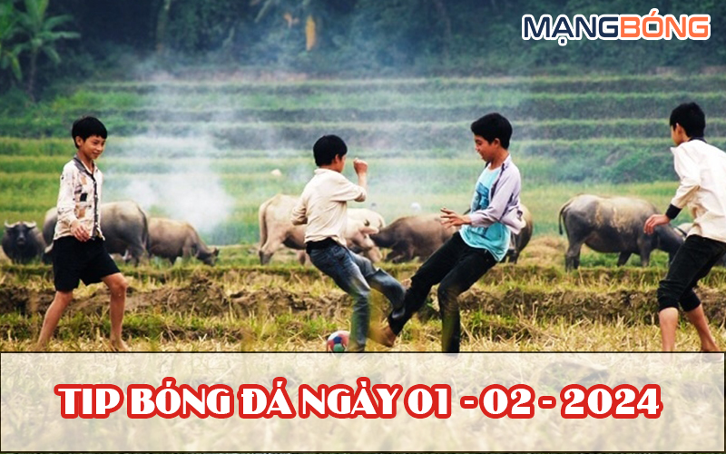 Tip bóng đá miễn phí ngày 01-02-2024